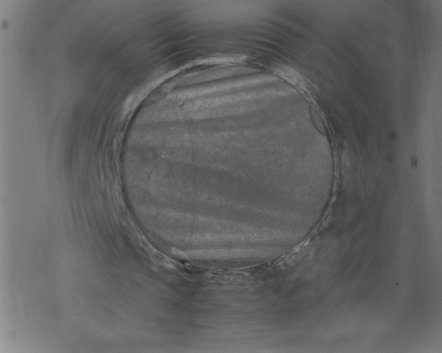 X0000072550337200607281654