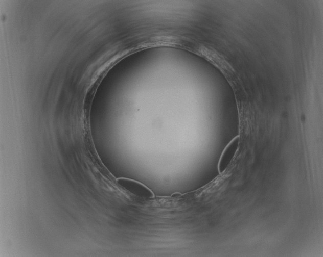 X0000072550338200607281654