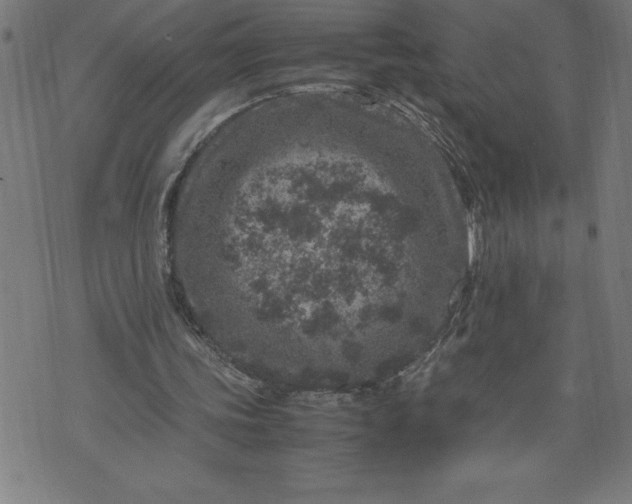 X0000072550339200607281654