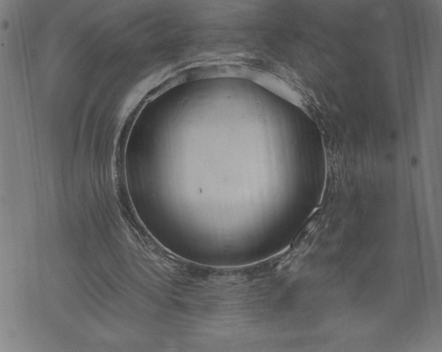 X0000072550340200607281654