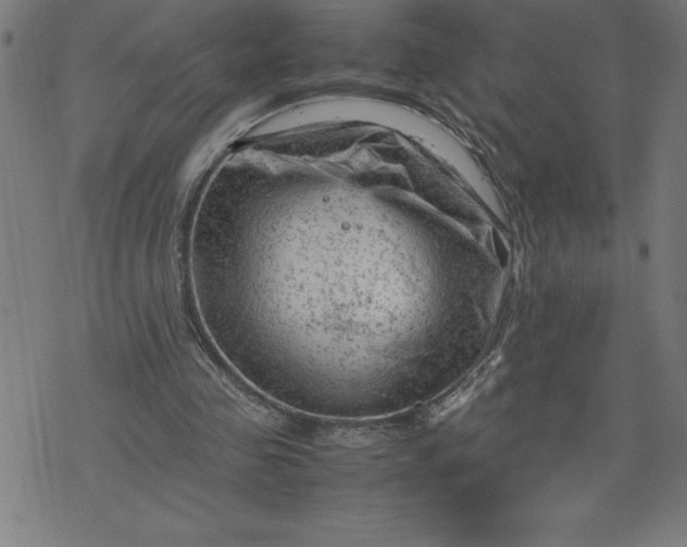 X0000072550341200607281654