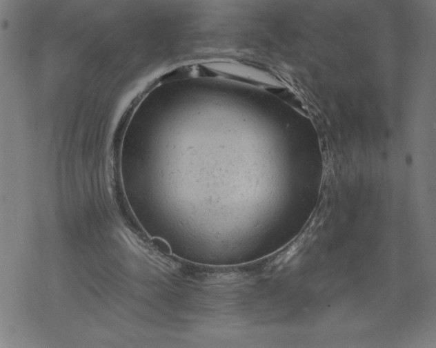 X0000072550342200607281654