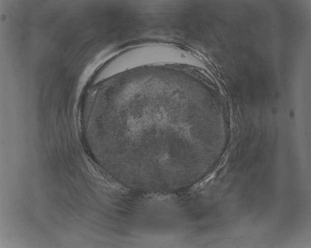 X0000072550343200607281654