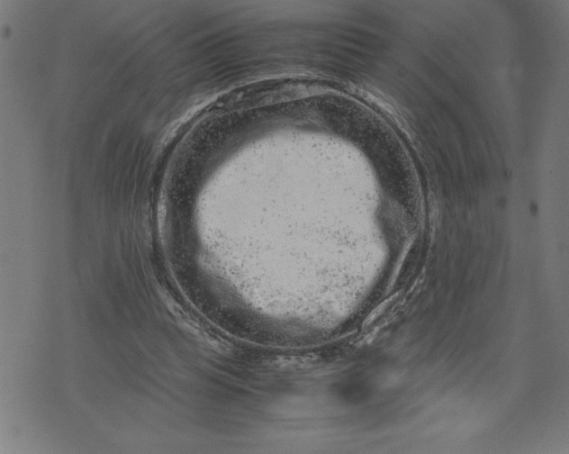 X0000072550345200607281654