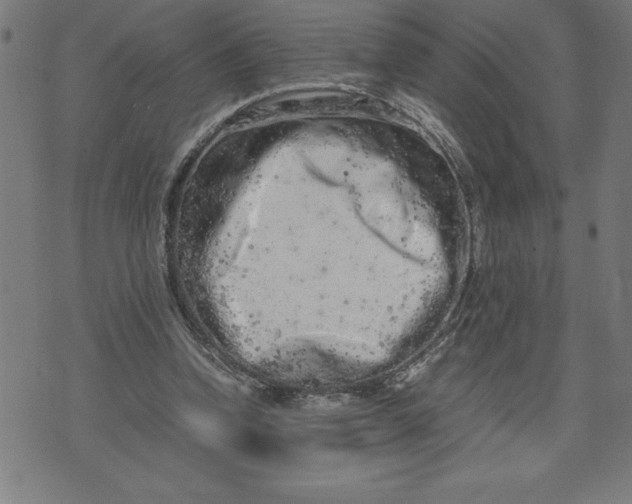 X0000072550346200607281654