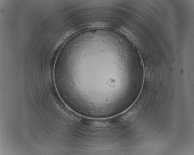 X0000072550347200607281654