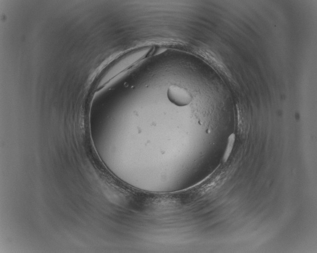 X0000072550348200607281654