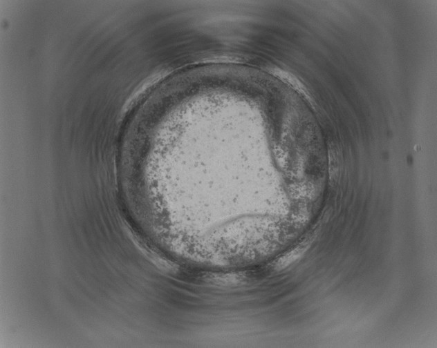 X0000072550349200607281654