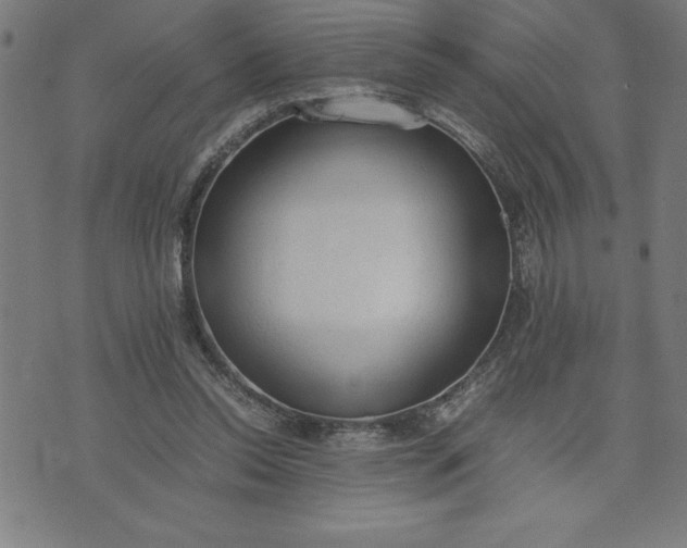 X0000072550350200607281654