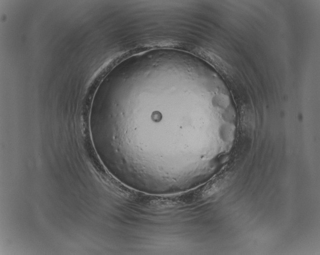 X0000072550351200607281654