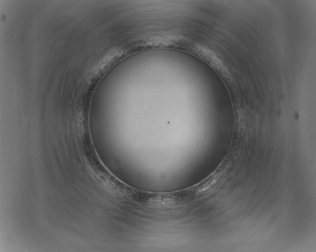 X0000072550354200607281654