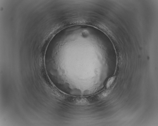 X0000072550355200607281654