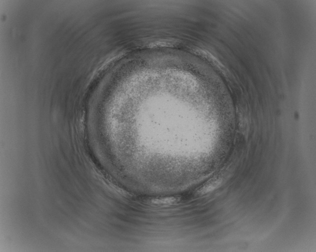 X0000072550357200607281654