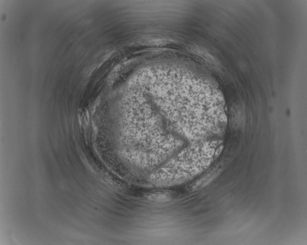 X0000072550358200607281654