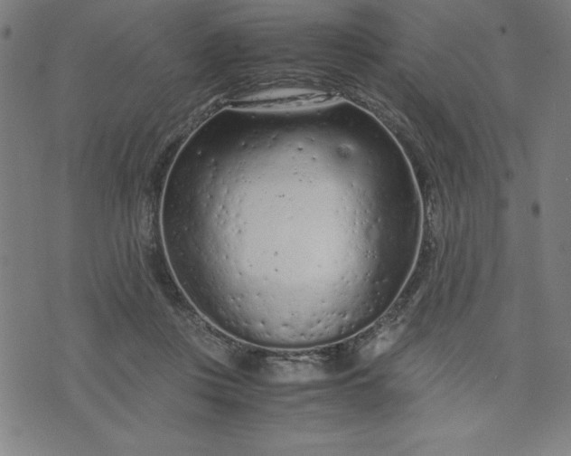 X0000072550359200607281654