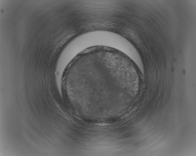 X0000072550360200607281654