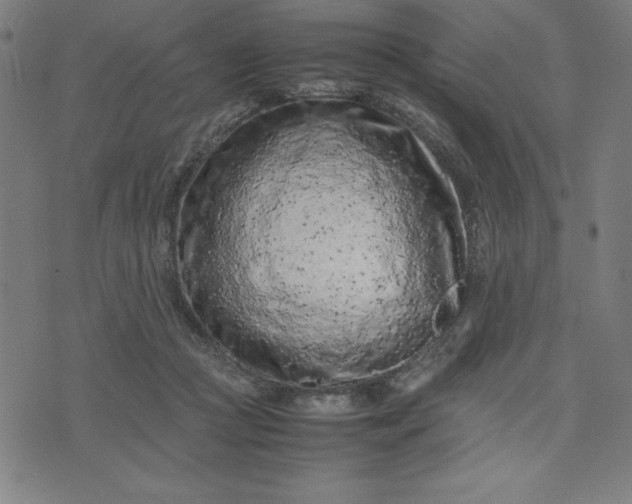 X0000072550361200607281654