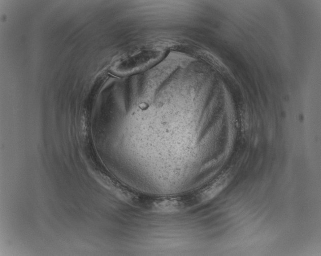 X0000072550362200607281654