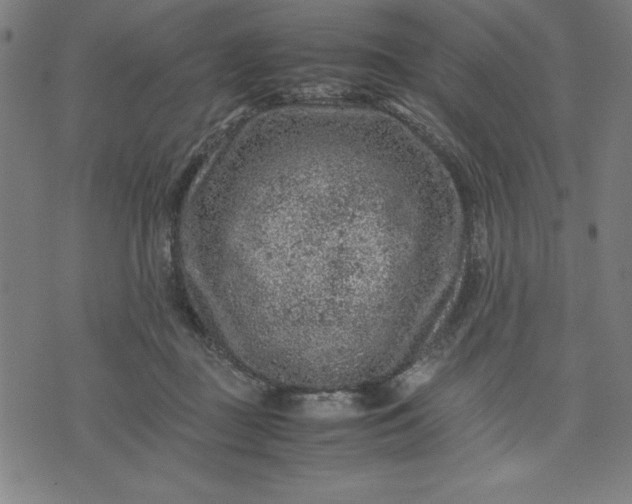 X0000072550363200607281654