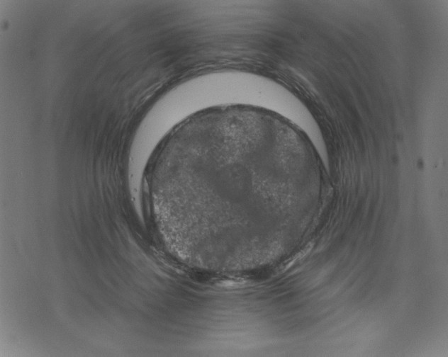 X0000072550364200607281654