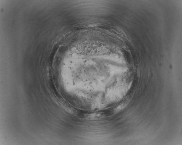 X0000072550366200607281654