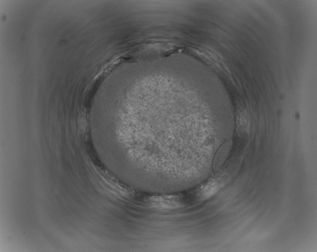 X0000072550367200607281654