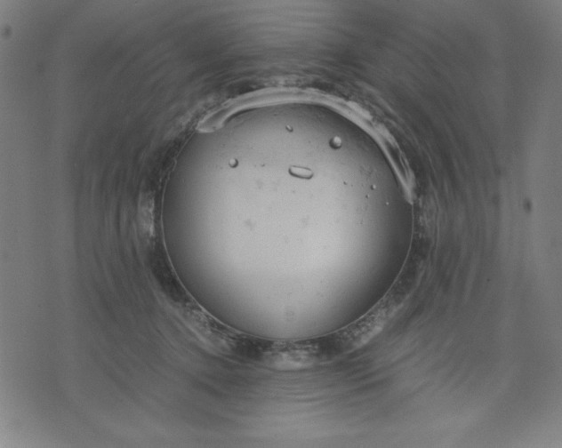 X0000072550368200607281654