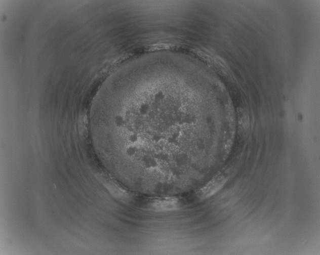 X0000072550369200607281654