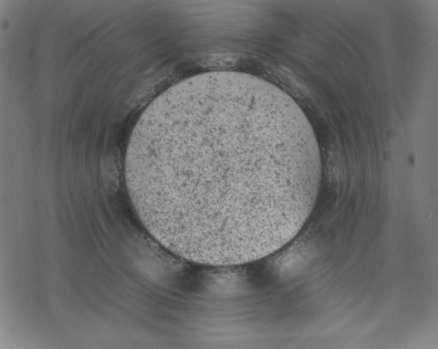 X0000072550370200607281654