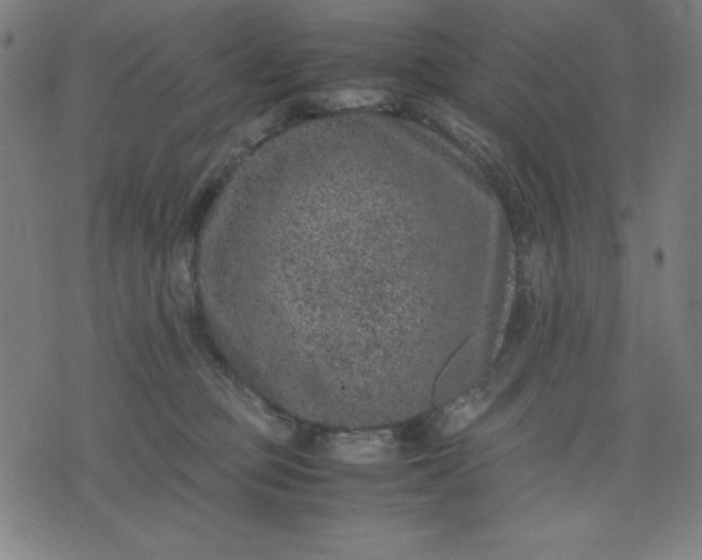 X0000072550373200607281654