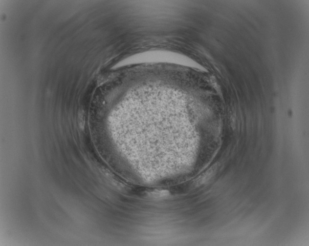 X0000072550374200607281654