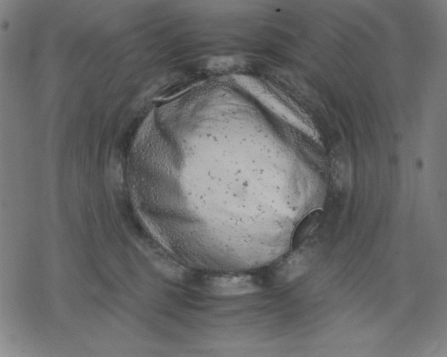 X0000072550375200607281654