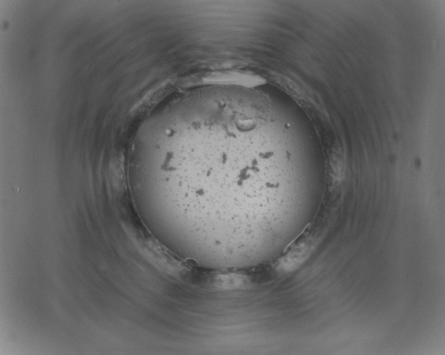 X0000072550376200607281654