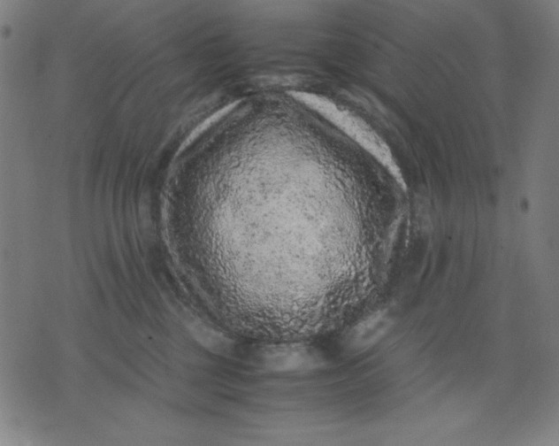 X0000072550377200607281655