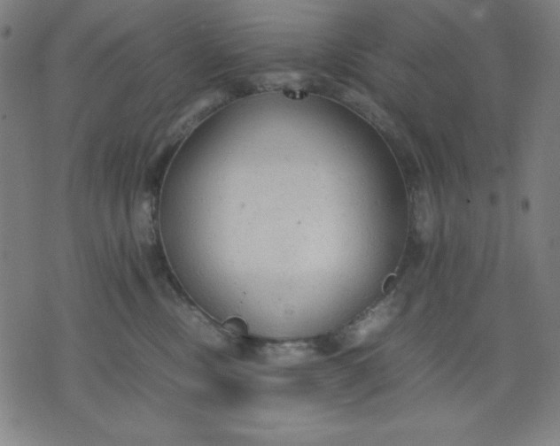 X0000072550378200607281655