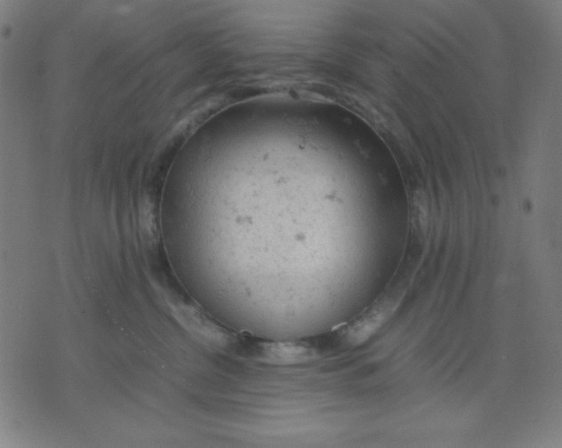 X0000072550380200607281655