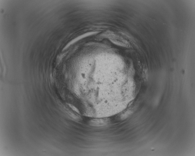 X0000072550381200607281655