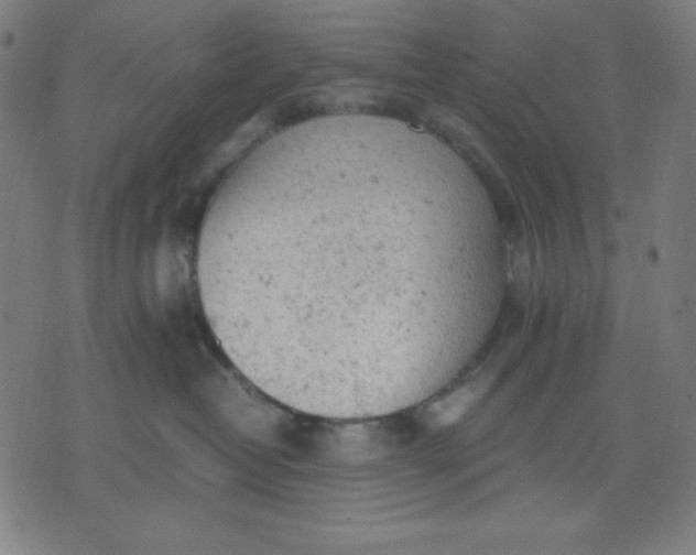 X0000072550382200607281655