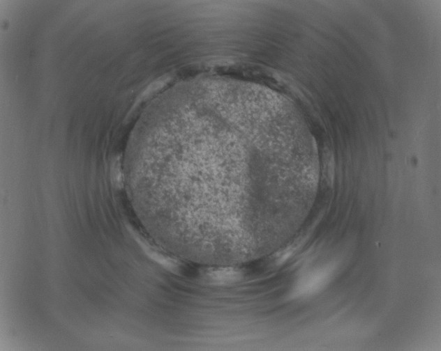 X0000072550383200607281655