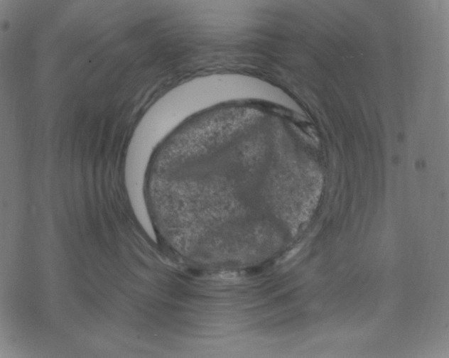 X0000072550384200607281655