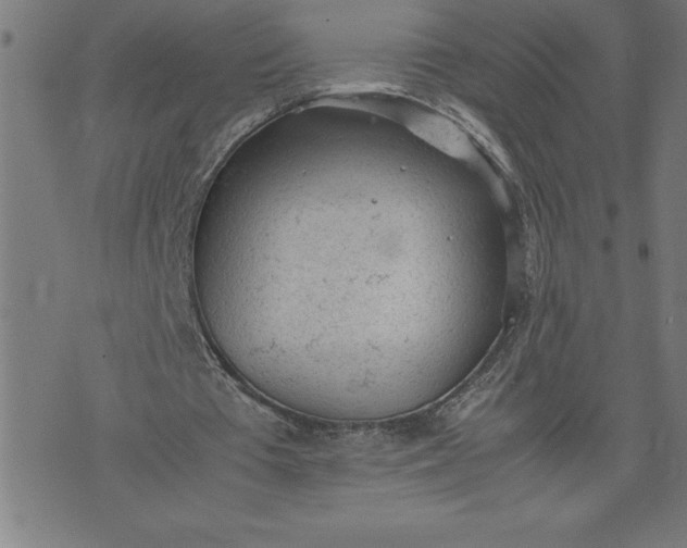 X0000072550385200607281654