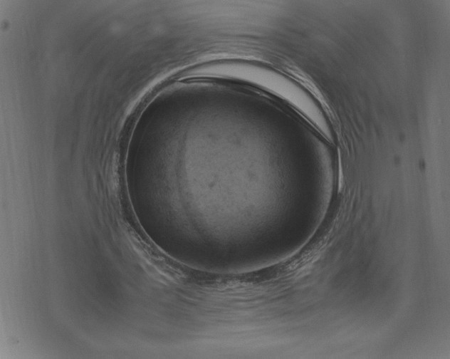 X0000072550387200607281654