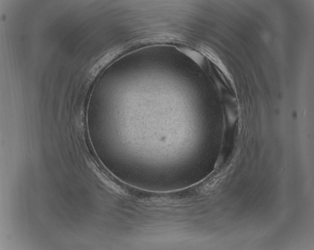 X0000072550389200607281654