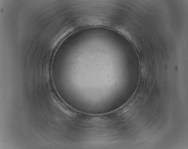 X0000072550390200607281654