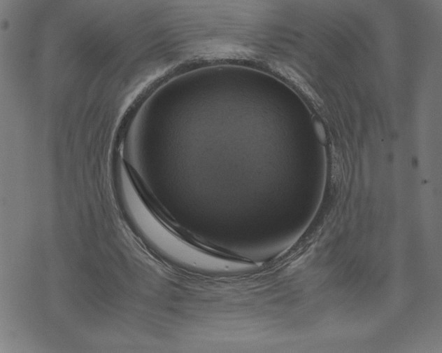 X0000072550391200607281654