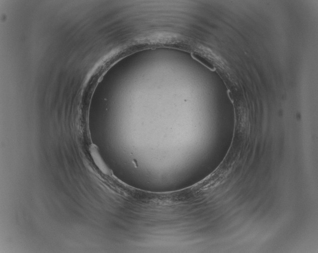 X0000072550392200607281654