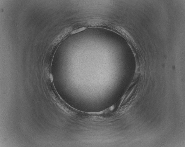 X0000072550393200607281654