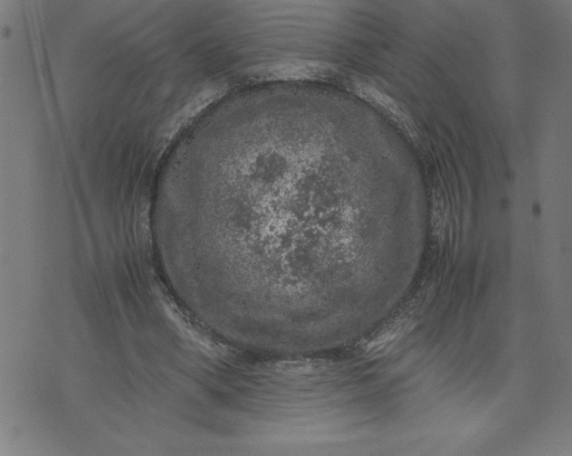 X0000072550394200607281654