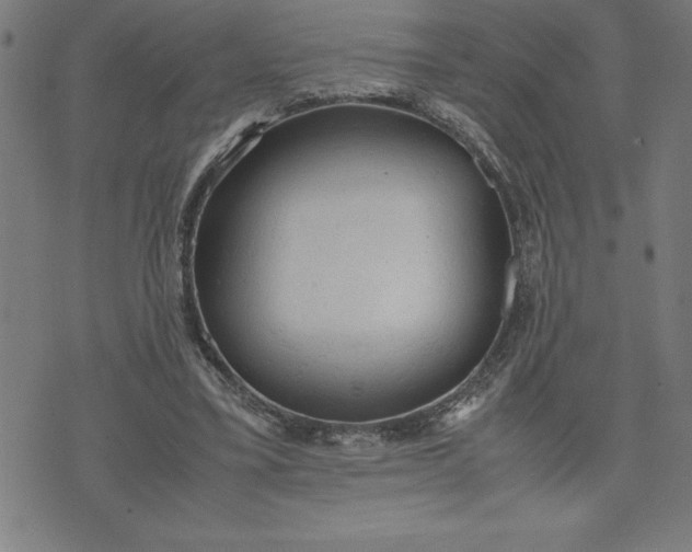 X0000072550395200607281654