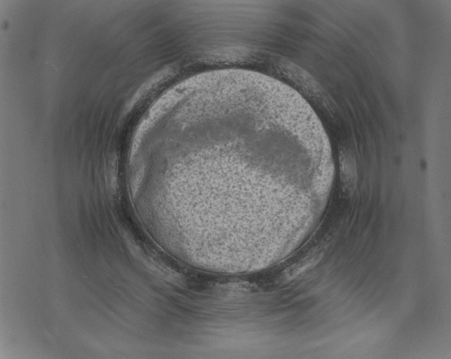 X0000072550396200607281654